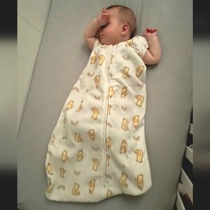 Disney's Winnie The Pooh HALO SleepSack Micro Fleece Swaddle